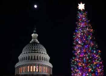 Capitol Christmas tree ‘Silver Belle’ lights up the West Lawn in Washington, D.C. – One America News Network