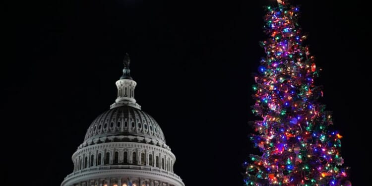 Capitol Christmas tree ‘Silver Belle’ lights up the West Lawn in Washington, D.C. – One America News Network