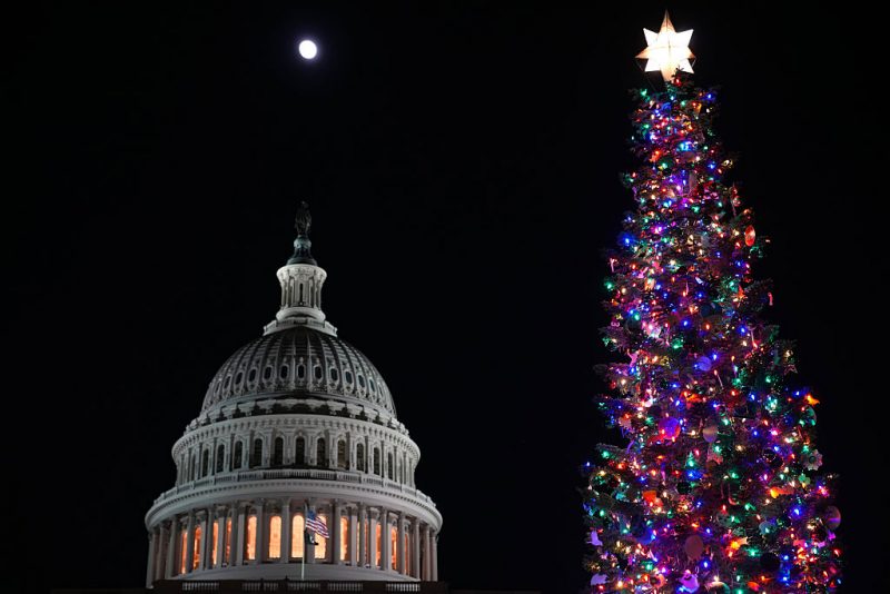 Capitol Christmas tree ‘Silver Belle’ lights up the West Lawn in Washington, D.C. – One America News Network