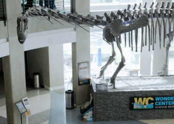 'You're Not a Cosmic Accident': Unique Creation Museum Reveals Where Faith and Science Meet