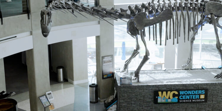 'You're Not a Cosmic Accident': Unique Creation Museum Reveals Where Faith and Science Meet