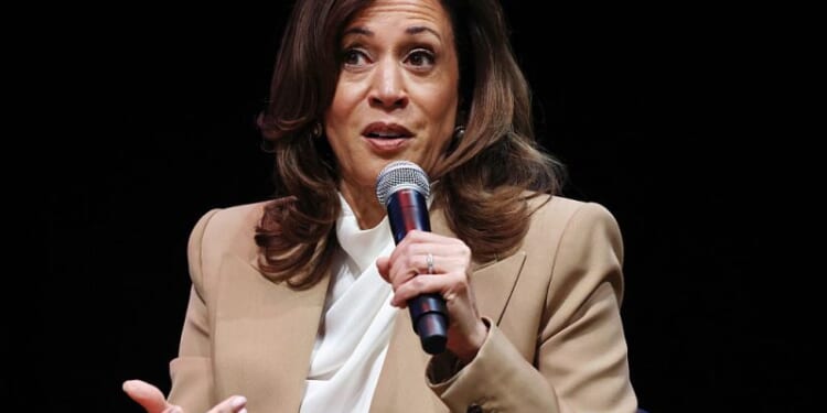 ‘There will be a marble bust of me… I am a historic figure’ – One America News Network