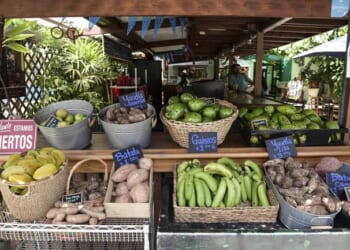 A Hard Reality From a Farmers Market – PJ Media