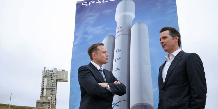 Elon Musk Defines 'Woman' After Gavin Newsom Mocks Him for Losing His Son to Trans Agenda