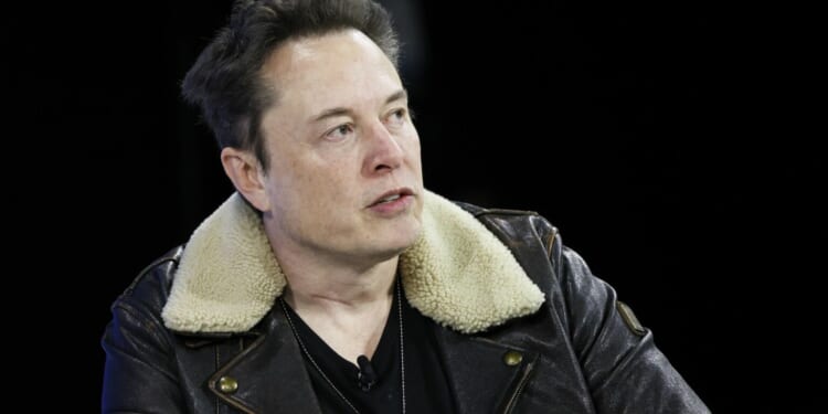 Elon Musk is right about the EU