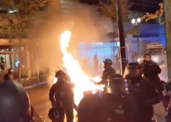 Man Throws Molotov Cocktails Into L.A. Federal Building – PJ Media