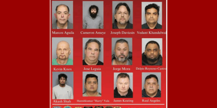 Middle school teacher among a dozen arrested for child sex crimes in multi-agency undercover sting operation – One America News Network