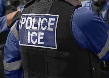 New Data Prove DHS Lied About Cato Report on ICE