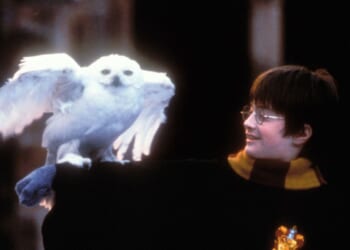 Now students are being ‘triggered’ by Harry Potter