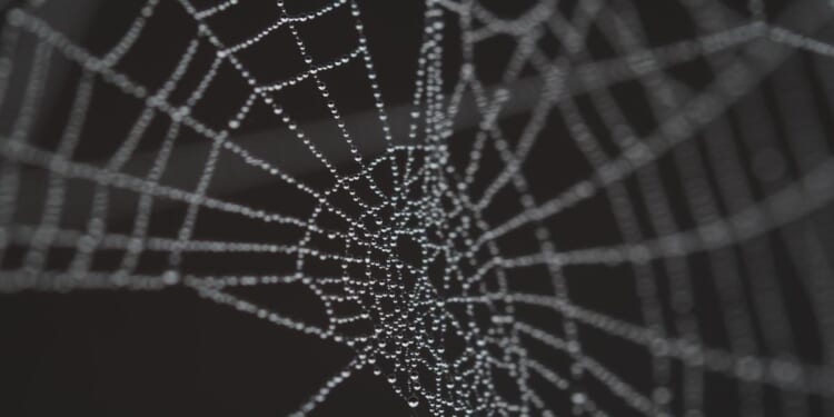 Protecting a Societal Cancer with a Web of Lies