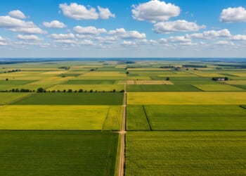 The Farmland Protection Policy Act: Crisis Politics and the Quiet Socialization of Land