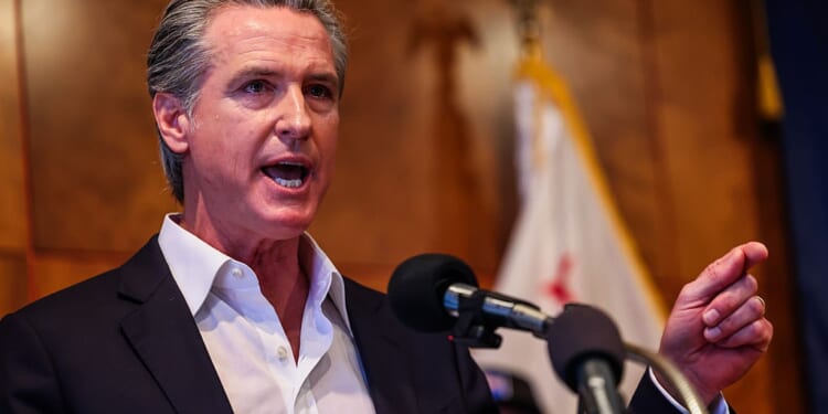 The Movers and Shakers of 2026 – Welcome to the California Jungle