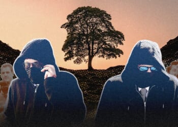 The parable of Sycamore Gap