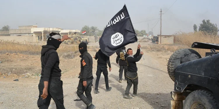 TOPSHOT - Iraqi government forces celebrate while holding an Islamis Sate (IS) group flag after they claimed they have gained complete control of the Diyala province, northeast of Baghdad, on January 26, 2015 near the town of Muqdadiyah. Iraqi forces have "liberated" Diyala province from the Islamic State jihadist group, retaking all populated areas of the eastern region, a top army officer said today. The symbolic victory for Baghdad, which has at times struggled to push IS back, could clear the way for further advances against the jihadists . AFP PHOTO / YOUNIS AL-BAYATI (Photo by YOUNIS AL-BAYATI / AFP) (Photo by YOUNIS AL-BAYATI/AFP via Getty Images)