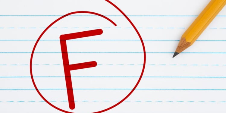 Zohran Mamdani’s Socialism Flunks Basic Economics