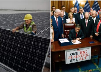 Solar Companies Scramble To Hide China Ties As Trump Readies Rules Barring Chinese-Owned Green Energy Firms From Receiving Taxpayer Funds