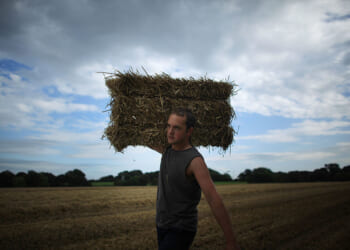 Big Food has devoured British farmers