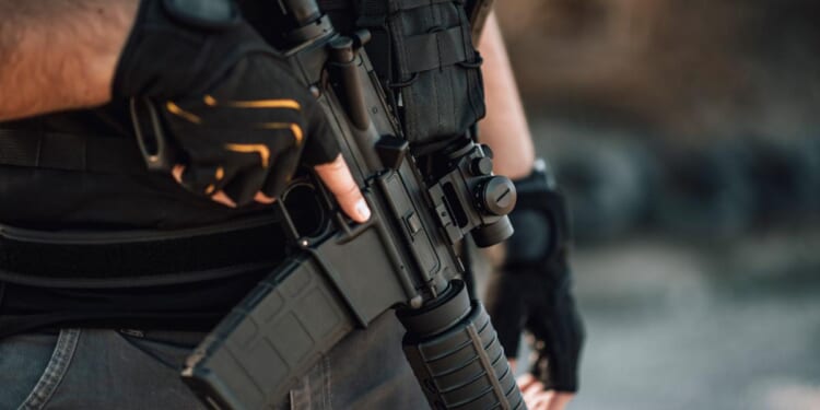 Defense Services on the Free Market