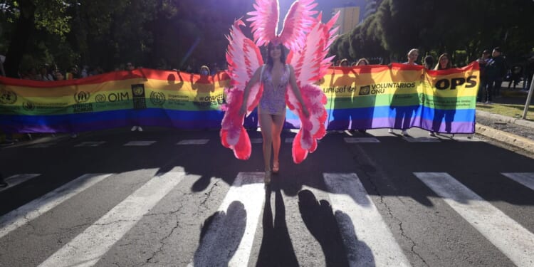 Fairy pronouns? The gender fanatics live in fantasy land