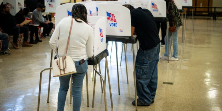 Forget the Noise: Election Truths Remain in Play