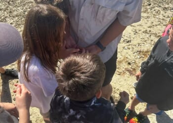 Outdoor learning at Curious and Kind