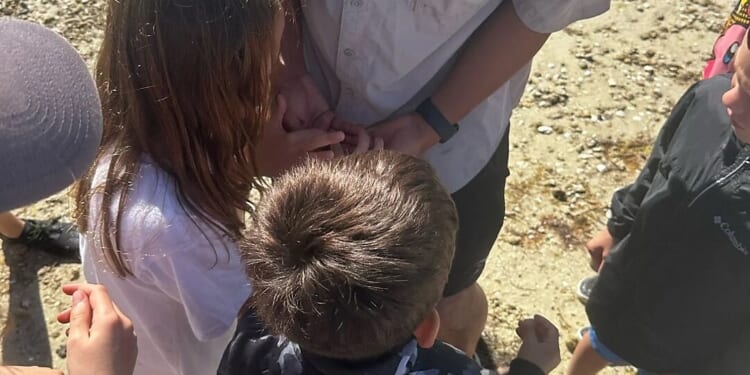 Outdoor learning at Curious and Kind