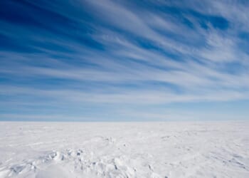 Greenland: Trump’s Folly | Mises Institute