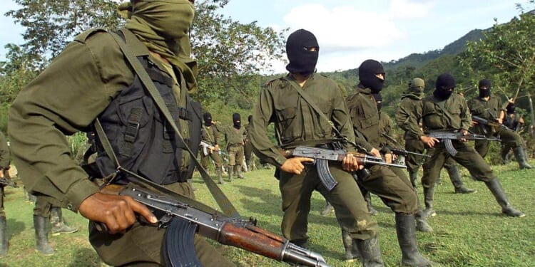 Guerrillas and gangsters on the Venezuelan border