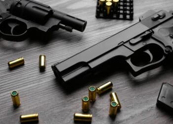 Guns Against the State | Mises Institute