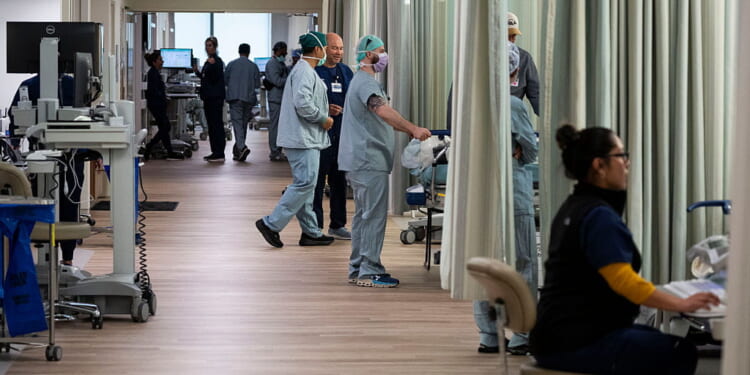 High on Health: The Great Healthcare Plan Revealed