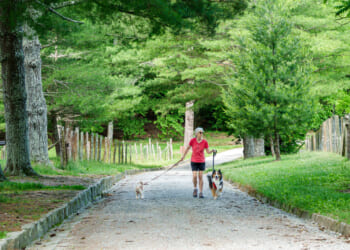 High on Health: US Life Expectancy Is Higher Than Ever - Liberty Nation News