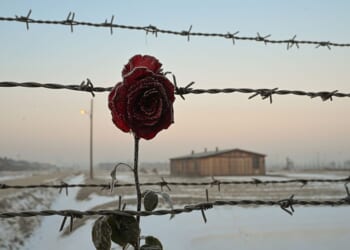 How AI is rewriting the Holocaust