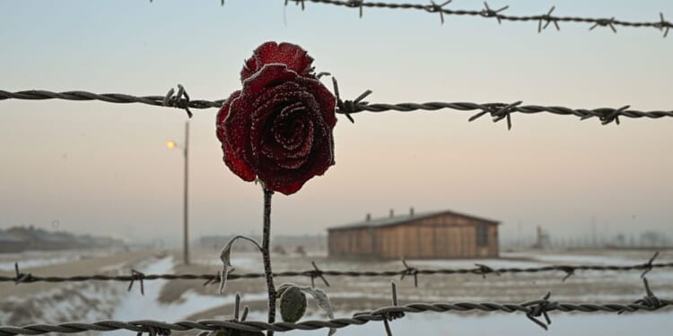 How AI is rewriting the Holocaust