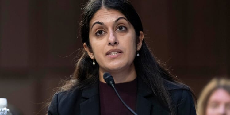 Dr. Nisha Verma is pictured in a 2023 file photo testifying before the Senate Judiciary Committee.