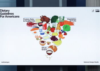 Making the Food Pyramid Healthy Again