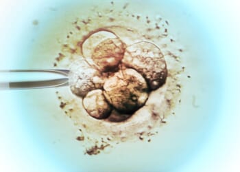 Morally Responsible IVF - The American Mind