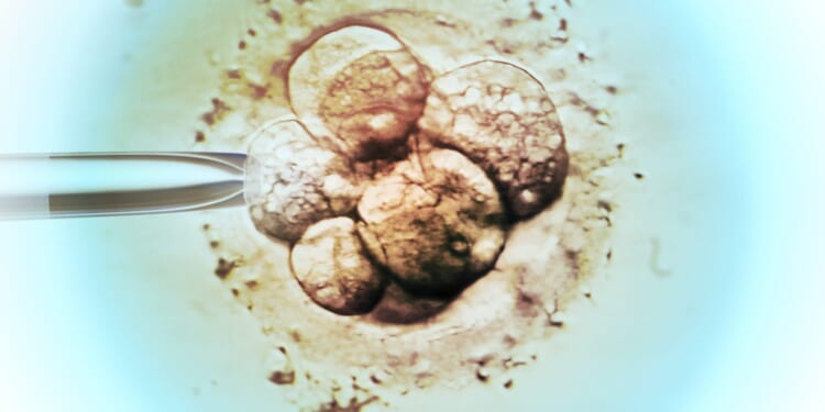 Morally Responsible IVF - The American Mind