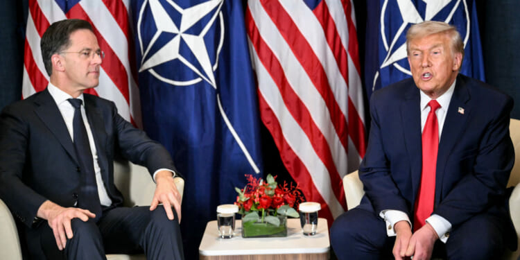 NATO is now a zombie institution