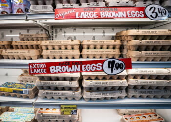 No Yolk! Eggflation Has Been Eradicated