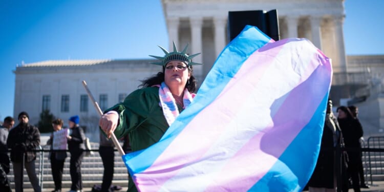 The Orwellian madness of letting boys on to girls’ sports teams