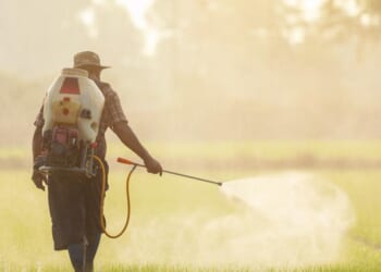 The Political Economy of Pesticides: How to Subsidize a Poison