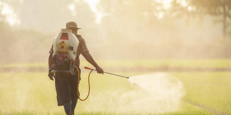 The Political Economy of Pesticides: How to Subsidize a Poison