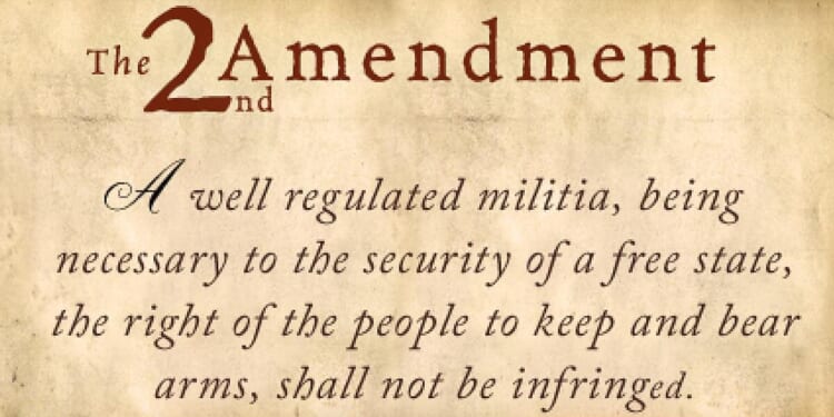 second amendment gun