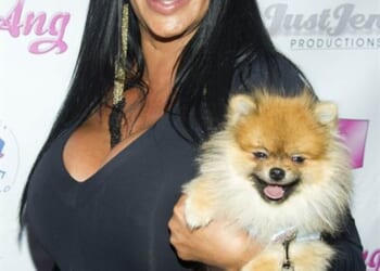 The Yappy Little Dog Syndrome – PJ Media