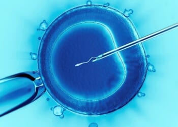 Trump, IVF, and the New Politics of Fertility