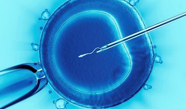 Trump, IVF, and the New Politics of Fertility