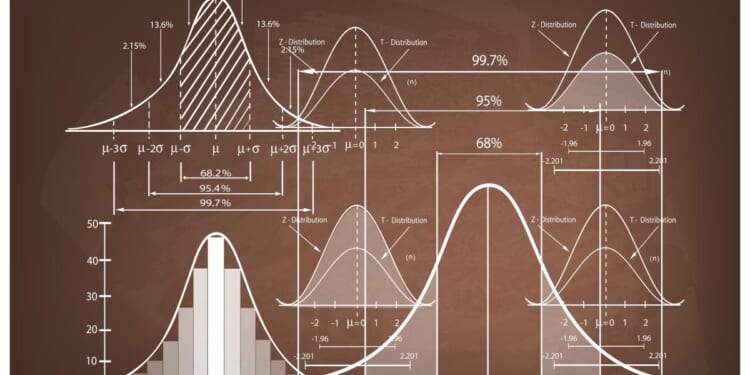 What Is the Role of Probability in Economics?