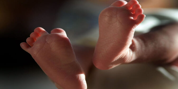 Why is the NHS registering babies as ‘theybies’?