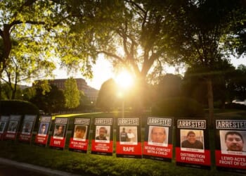 Will Minnesota Lose a Congressional Seat After Illegal Alien Deportations? – PJ Media