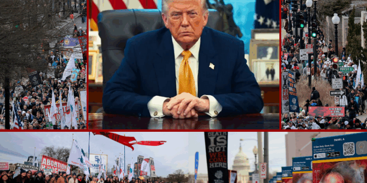 ‘Every child is a gift from God’ – One America News Network